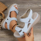 Light Blue / 43
