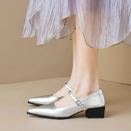 French Pointed Toe Shallow Mouth Block Heel Single Shoes Women's 2026 Spring and Autumn New One-line Strap Shoes