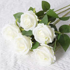 Silk clothB2 / 10PCS
