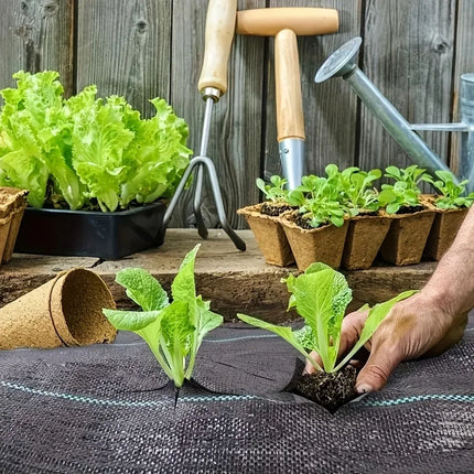 Person planting seedlings through a slit in the black weed barrier