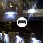 Black-White / 24PCS