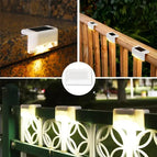 White-Warm / 24PCS