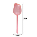 1PC-Champagne
