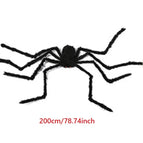 200 cm