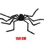 150 cm