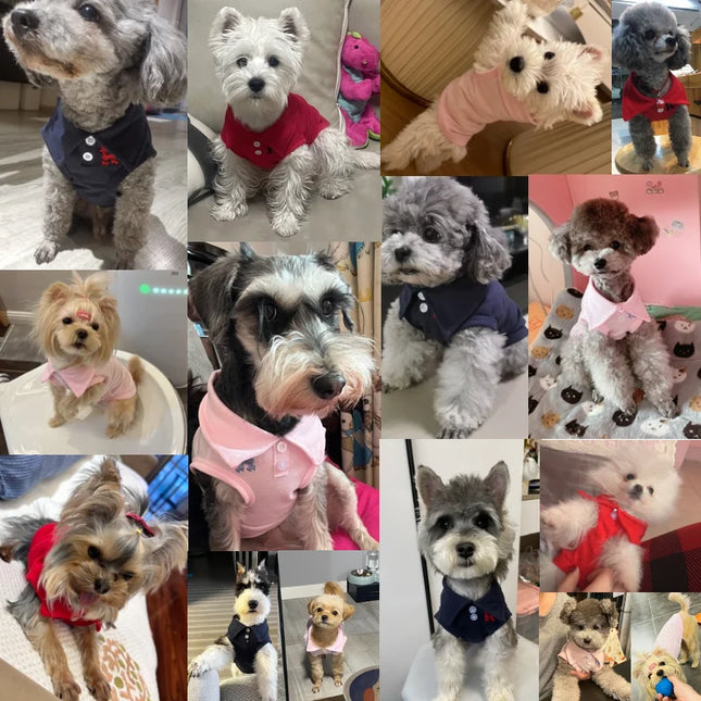 New Pet Dog Polo Shirt Dog Cool Clothes Soft Breathable Yorkie Chihuahua Puppy Clothes Dog Vest for - product image 2