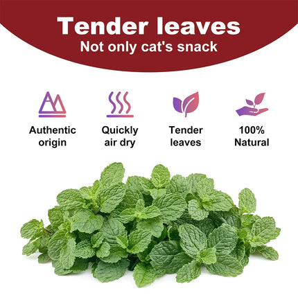 Pet's Cat Premium Catnip-56g Jar of High Potency Catnip,100% Natural & Chemical-Free,Safe for All Cat Ages
