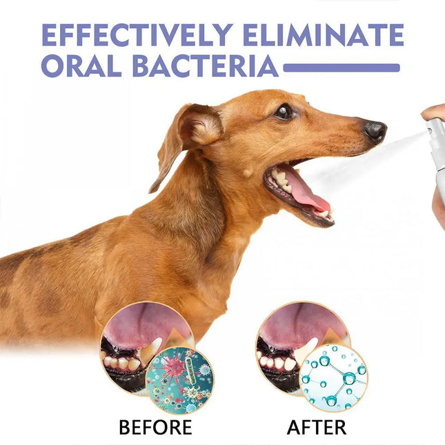 Pet Mouth Spray, Fresh Breath & Teeth Cleaning Spray, Pets Dog Oral Care Spray, Reduce Plaque & Tartar - product image 2