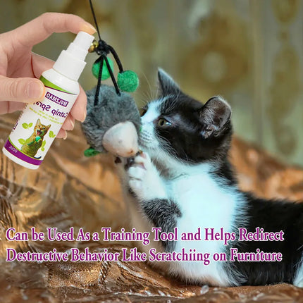 Catnip Spray for Cats,Cat Scratching Spray to Boost Play,Calm Stress & Renew Toys,Transparent Cat & Kitten Behaviour Spray 60 ml