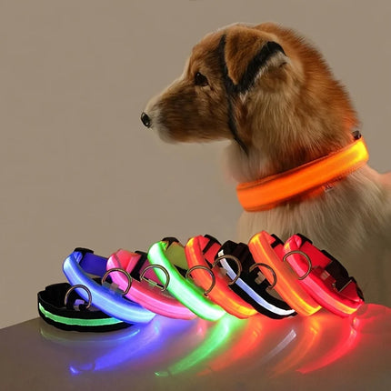 Nylon LED Night Safety Flashing Glow In The Dark Dog Leash Dogs Luminous Fluorescent Pet Dog Collar - product image from BSM
