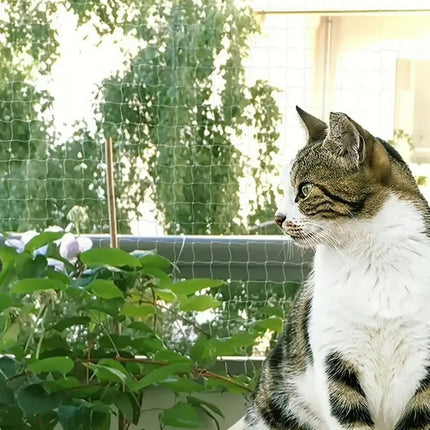 Cat behind balcony netting