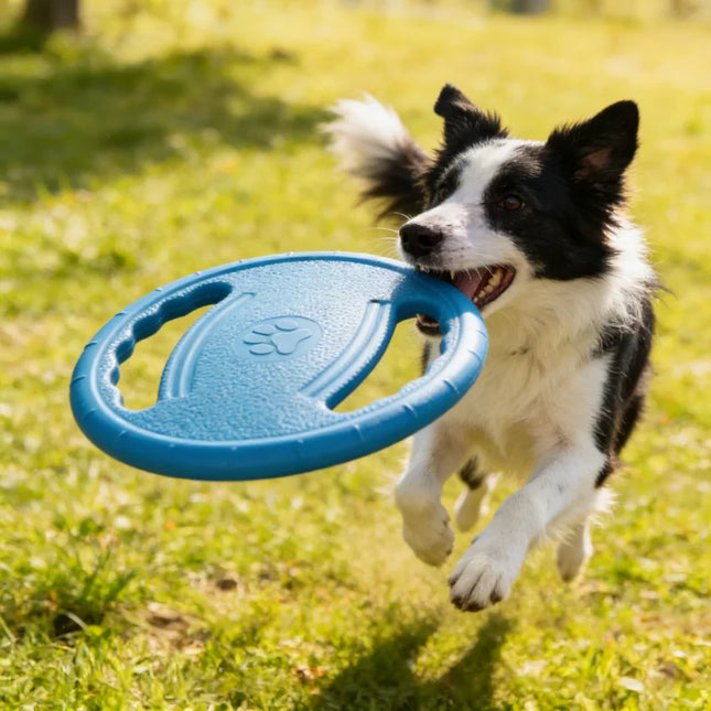 Dogs EVA Flying Disc Tooth Chew Play Train Toy Indestructible Pet Supplies Toys Large Safe Small Dog - product image 2