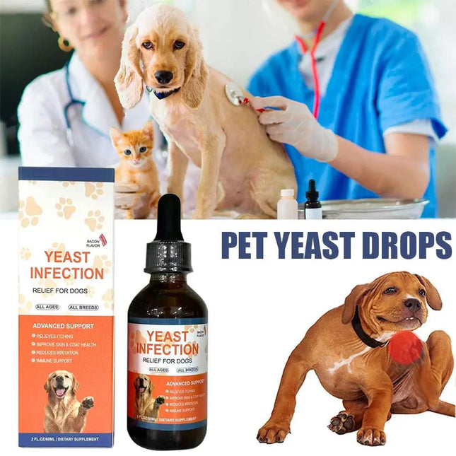 60ml Pet Yeast Drops for Dogs And Cats - Supports Gut Health Nutrient Absorption And Enhances Overall - product image 2