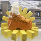 Orange / 39