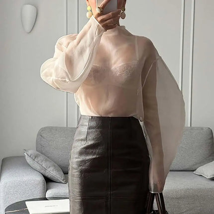 Chic Long Sleeve Mesh Blouse Half-high Collar O Neck Gauze Blouse See Through Cropped Blouse Lady Daily