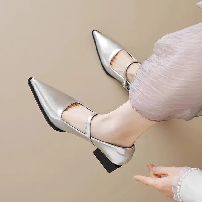French Pointed Toe Shallow Mouth Block Heel Single Shoes Women's 2026 Spring and Autumn New One-line Strap Shoes
