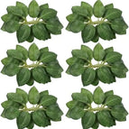 Leaves / 10pcs no box leaves