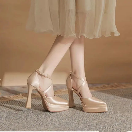 Pointed Toe Shallow Mouth Block Heel Hollow Platform Super High Heel Single Shoes Women's Anti-Slip Wear-Resistant Shoes