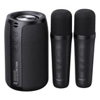 2 microphone