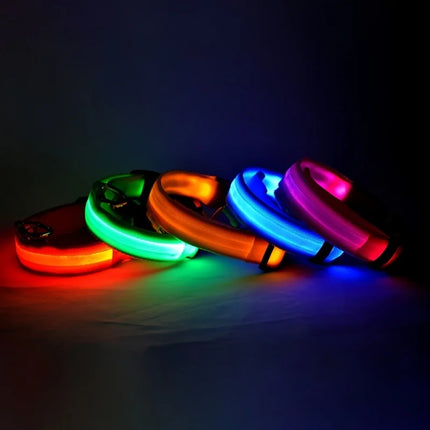 Nylon LED Night Safety Flashing Glow In The Dark Dog Leash Dogs Luminous Fluorescent Pet Dog Collar - product image from BSM