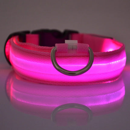 Nylon LED Night Safety Flashing Glow In The Dark Dog Leash Dogs Luminous Fluorescent Pet Dog Collar - product image from BSM