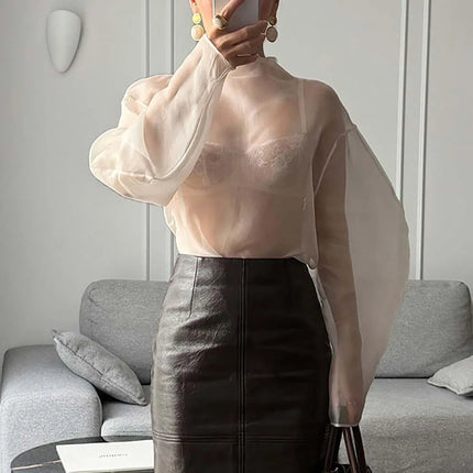 Chic Long Sleeve Mesh Blouse Half-high Collar O Neck Gauze Blouse See Through Cropped Blouse Lady Daily