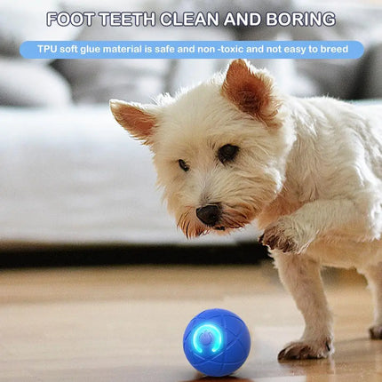 Electronic Interactive Pet Toy Smart Dog Toy Ball USB Automatic Moving Bouncing for Puppy Birthday Gift Cat Products Blue Orange