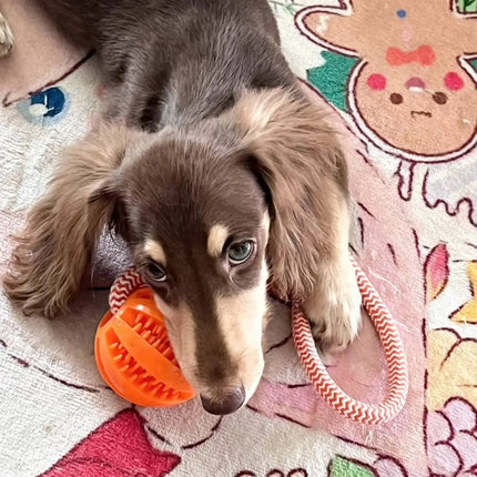 with Leaking Food Ball Interactive Tug of War Chew Toy Teeth Cleaning Bite Resistant Cotton Rope Toy for Small Medium Large Dogs