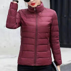 wine red stand / XL / China Mainland