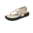 Beige / 35