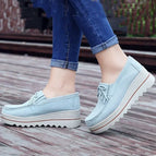 Grey / 43