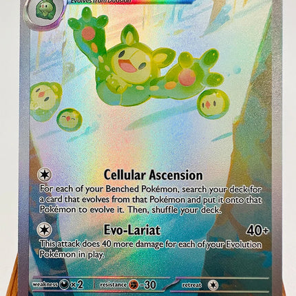 Pokemon PTCG Charizard Victini Gardevoir Sexy Cynthia Toys Hobbies Hobby Collectibles Game Collection Anime Cards