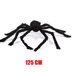 125 cm