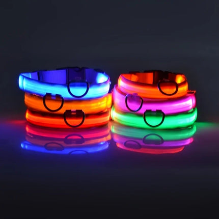 Nylon LED Night Safety Flashing Glow In The Dark Dog Leash Dogs Luminous Fluorescent Pet Dog Collar - product image from BSM