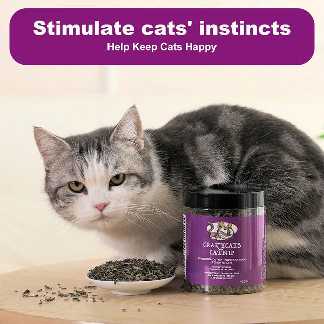 100% Natural Catnip and Pure Catnip for Your Furry Friend Taste Funny Cat Toy New Cat Toy Interactive - product image 6