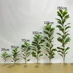 6pcs / Without pot
