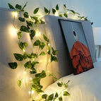 Green Dill / 10m 100LEDS