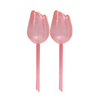 2PC-Champagne