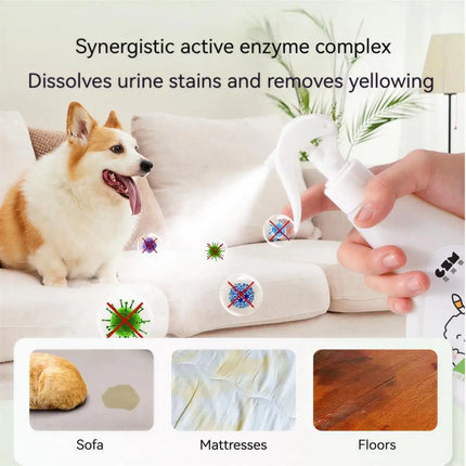 Pet Odor Eliminator Spray Enzyme Cleaner Disinfectant for Cats Dogs Urine Smell Removal Antibacterial Deodorizer Supplies