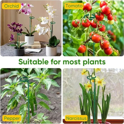 35/45/55cm Garden Support Stake Ring Metal Garden Plant Support Single Stem Shrub Holder for Plants Rose Flowers Vegetables Vine