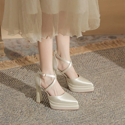 Pointed Toe Shallow Mouth Block Heel Hollow Platform Super High Heel Single Shoes Women's Anti-Slip Wear-Resistant Shoes