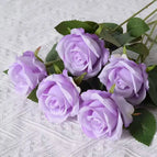 Silk clothB9 / 10PCS