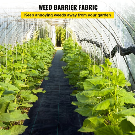 Weed barrier fabric laid along a greenhouse walkway