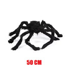 50 cm