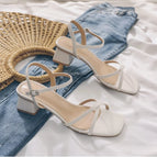 Beige / 40