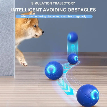 Electronic Interactive Pet Toy Smart Dog Toy Ball USB Automatic Moving Bouncing for Puppy Birthday Gift Cat Products Blue Orange