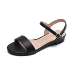 Black 2cm / 40