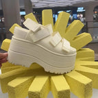 WHITE / 39