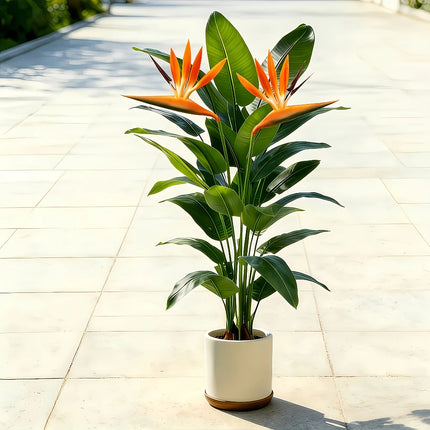 3-Piece Artificial Banana Tree and Bird of Paradise Set - image 4