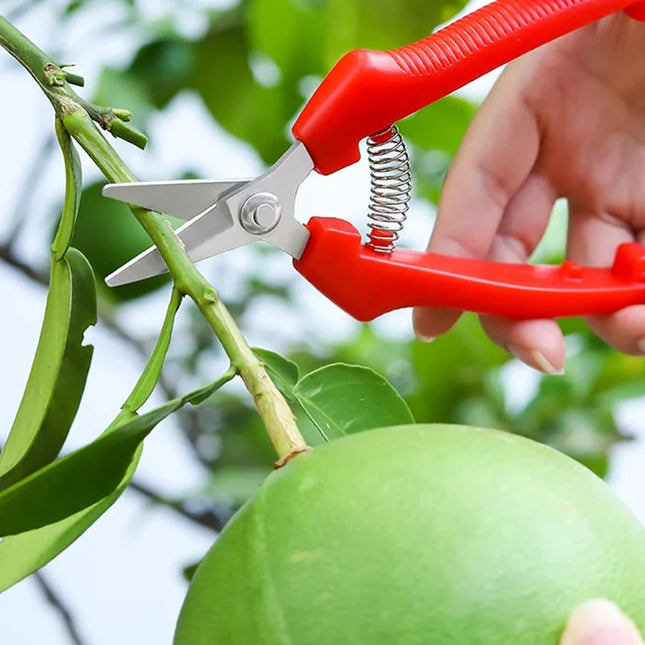 Non-slip Handle Pruning Shears Branch Grass Garden Fruit Tree Trimming Sharp Blade Scissors Knife - product image 2